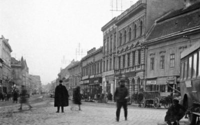 A vármegye, mint a magyar szuverenitás bástyája