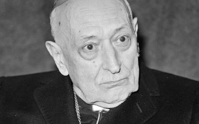 Mindszenty József utolsó útjai